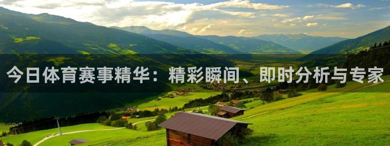 今日体育赛事精华：精彩瞬间、即时分析与专家