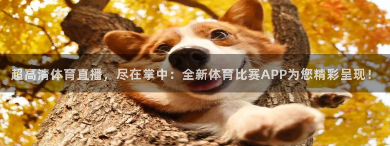超高清体育直播，尽在掌中：全新体育比赛APP为您精彩呈现！