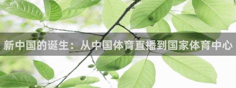 新中国的诞生：从中国体育直播到国家体育中心
