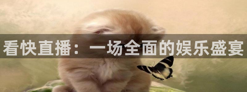 看快直播：一场全面的娱乐盛宴