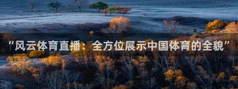 “风云体育直播：全方位展示中国体育的全貌”