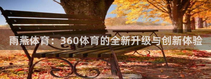 雨燕体育：360体育的全新升级与创新体验