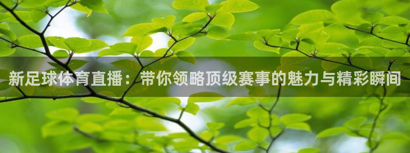 新足球体育直播：带你领略顶级赛事的魅力与精彩瞬间
