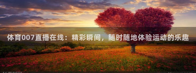 女篮世界杯比赛视频回放