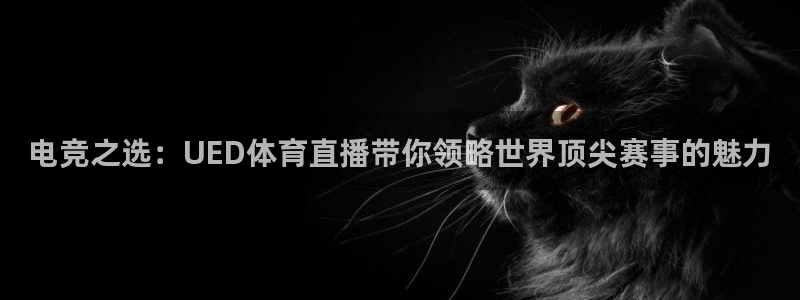 世界杯足球赛回放视频：电竞之选：UED体育直播带你领略世界顶尖赛事的魅力