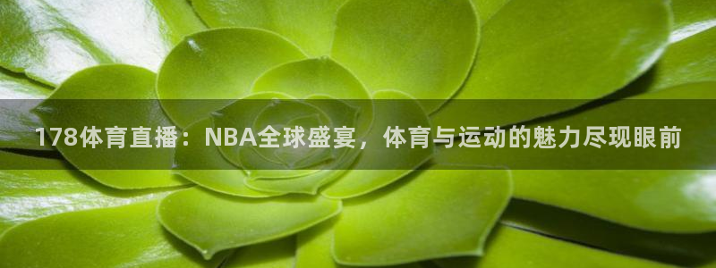 世界杯2022赛程时间表格：178体育直播：NBA全球盛宴，体育与运动的魅力尽现眼前