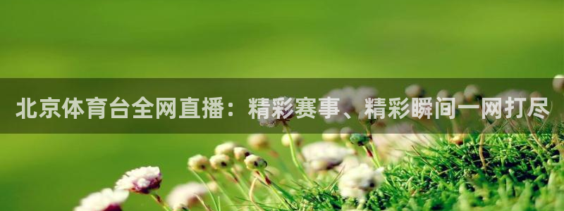 2022年足球世界杯在哪：北京体育台全网直播：精彩赛事、精彩瞬间一网打尽